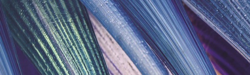 Visage Adult Plastic